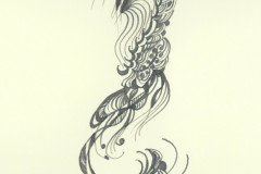 Scan7